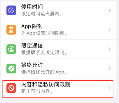 永善appleID维修服务iPhone设置中Apple ID显示为灰色无法使用