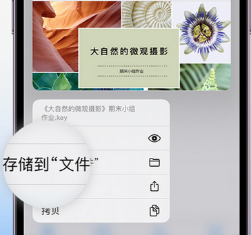 永善apple维修中心分享iPhone文件应用中存储和找到下载文件