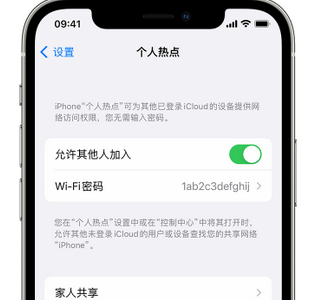 永善apple服务站点分享iPhone上个人热点丢失了怎么办