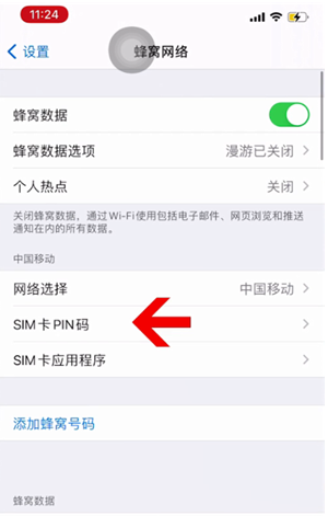 永善苹果14维修网分享如何给iPhone14的SIM卡设置密码 