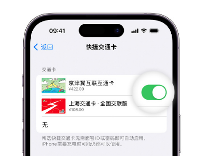 永善apple维修点分享iPhone上更换Apple Pay快捷交通卡手绘卡面 