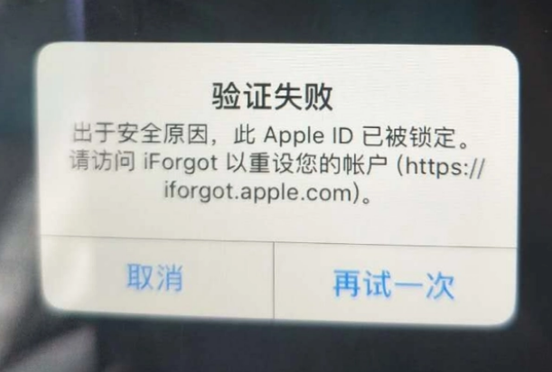 永善iPhone维修分享iPhone上正常登录或使用AppleID怎么办 