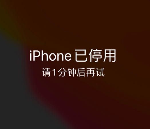 永善苹果手机维修分享:iPhone 显示“不可用”或“已停用”怎么办？还能保留数据吗？ 