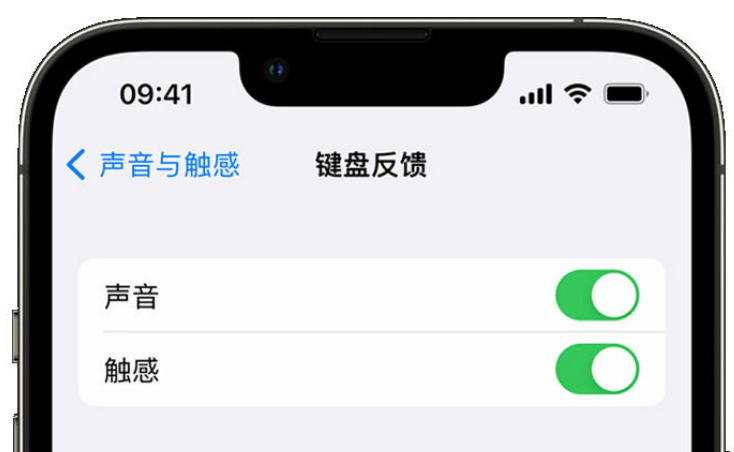 永善苹果手机维修分享iPhone 14触感键盘使用方法 