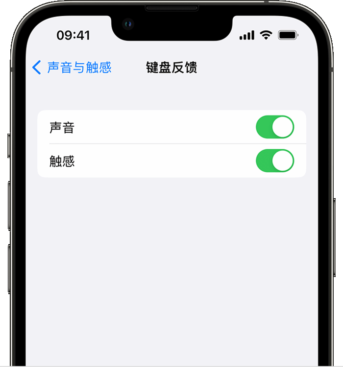 永善苹果14维修店分享如何在 iPhone 14 机型中使用触感键盘 