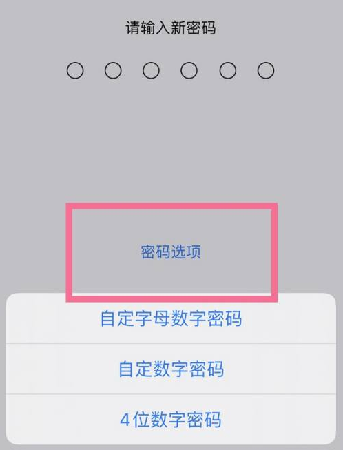 永善苹果14维修分享iPhone 14plus设置密码的方法 