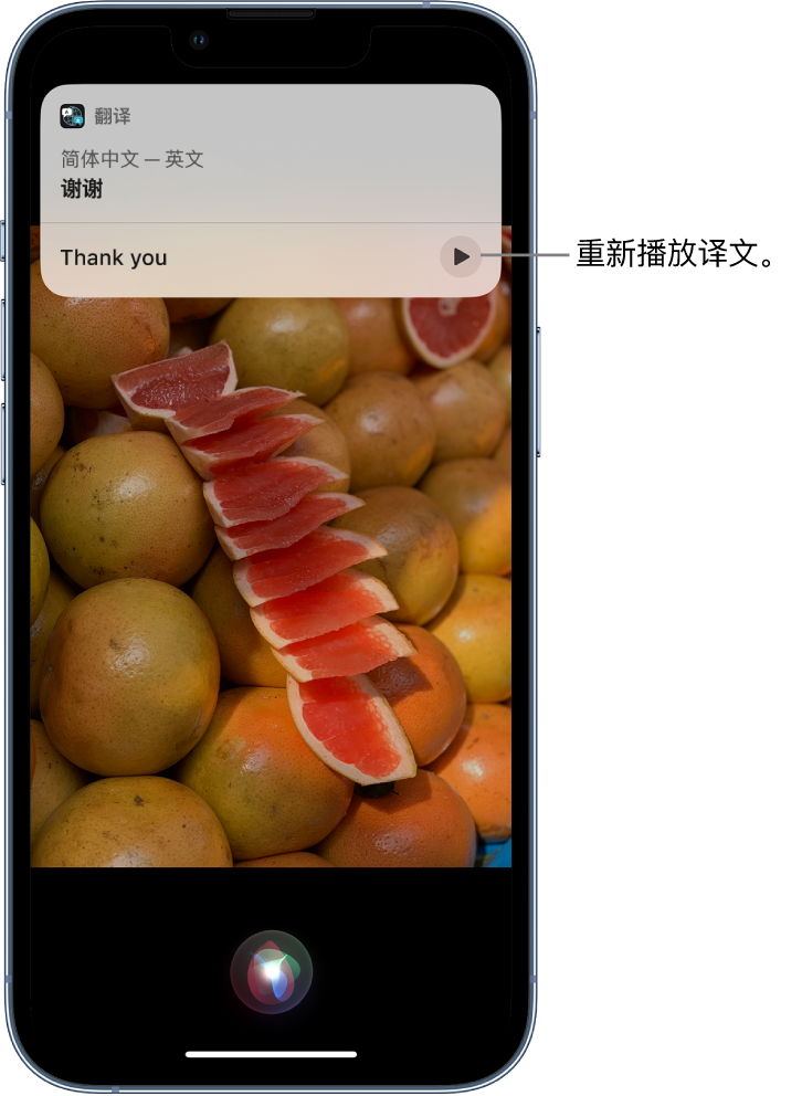 永善苹果14维修分享 iPhone 14 机型中使用 Siri：了解 Siri 能帮你做什么 