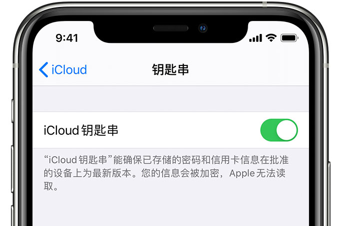 永善苹果手机维修分享在 iPhone 上开启 iCloud 钥匙串之后会储存哪些信息 