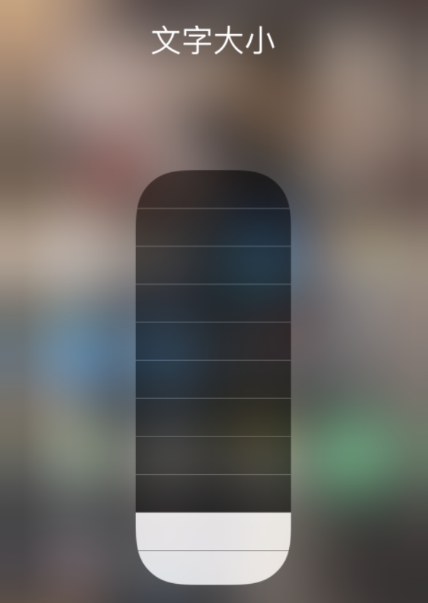 永善苹果手机维修分享小技巧：在 iPhone 控制中心快速调节字体大小 